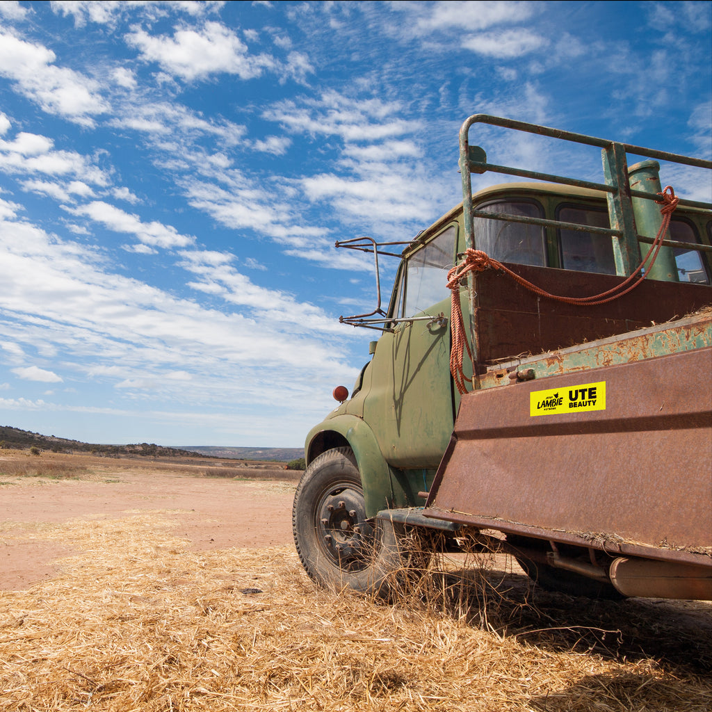 Ute Beauty bumper sticker